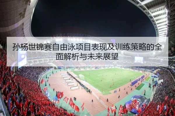 孙杨世锦赛自由泳项目表现及训练策略的全面解析与未来展望
